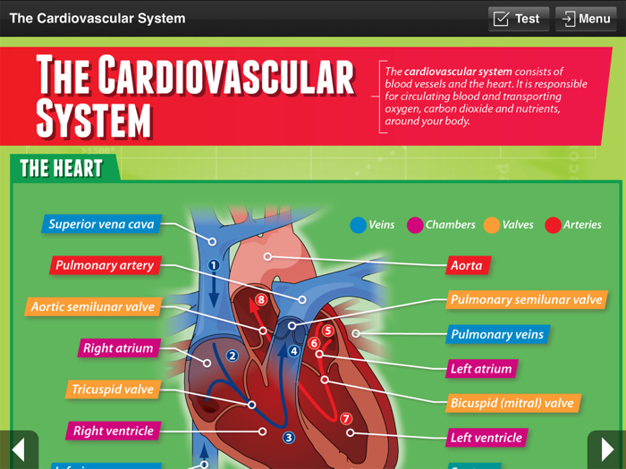 Physical Education GCSE
