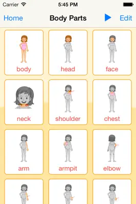 Game screenshot The Human Body. Learning Cards apk