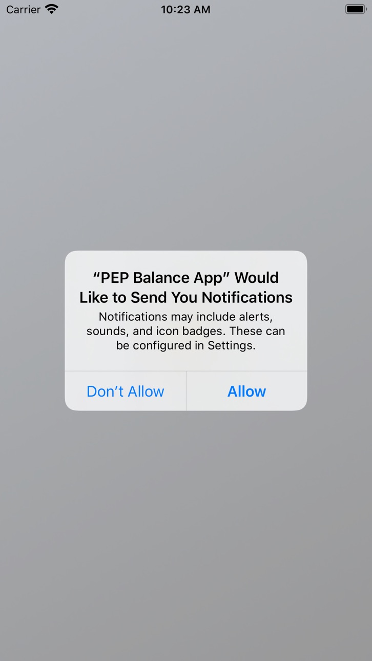 iPhone screenshot