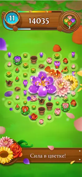 Game screenshot Blossom Blast Saga hack