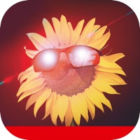 WEilluminate sur PC