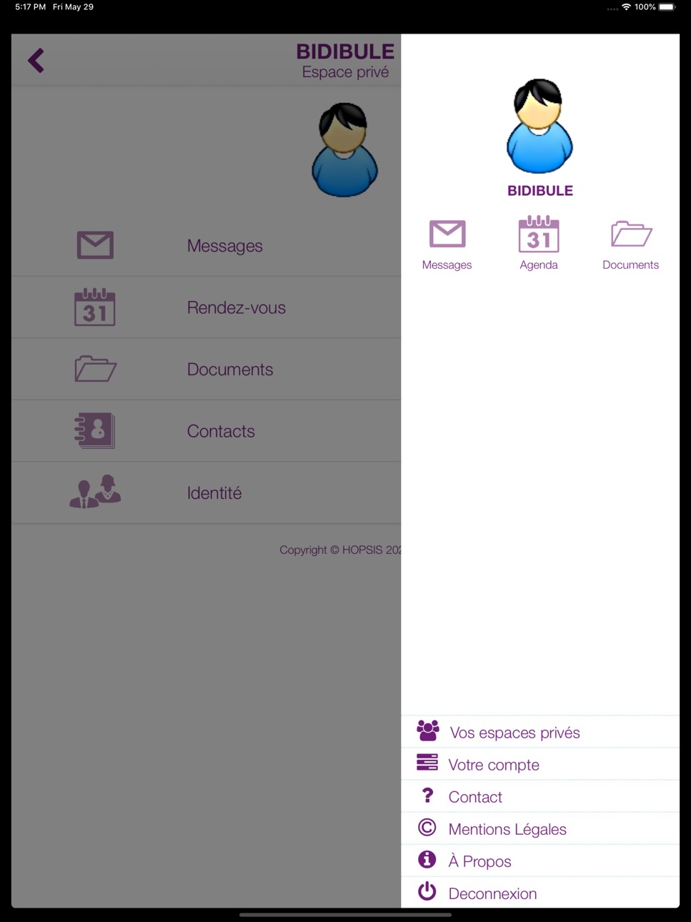 iPad screenshot