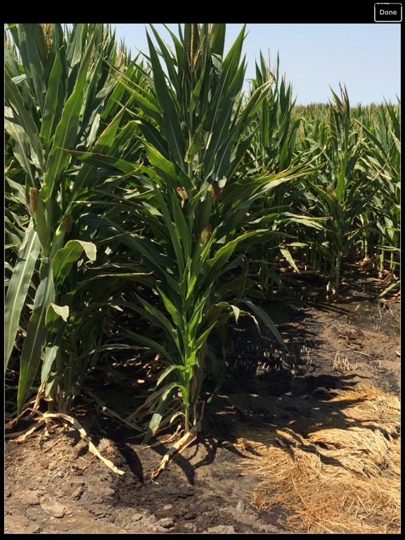 ATS Mobile iPad screenshot 2 - Business app