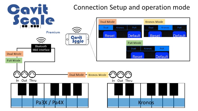 Cavit Scale screenshot-3