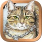 Mystical Cats Tarot app download