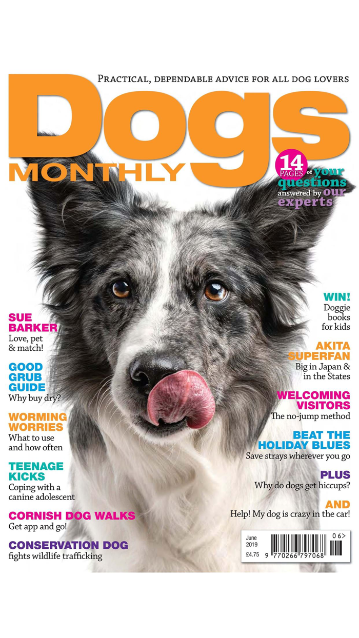 Dogs Monthly Magazine