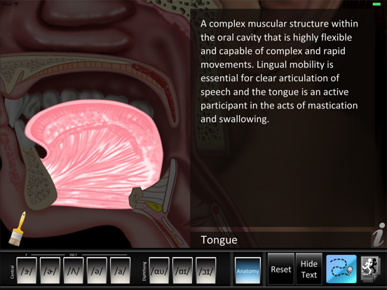 Screenshot #6 pour Vowels Central Diphthong