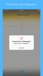 stashword - digital vault iphone screenshot 2