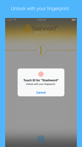 Stashword - Digital Vault screenshot