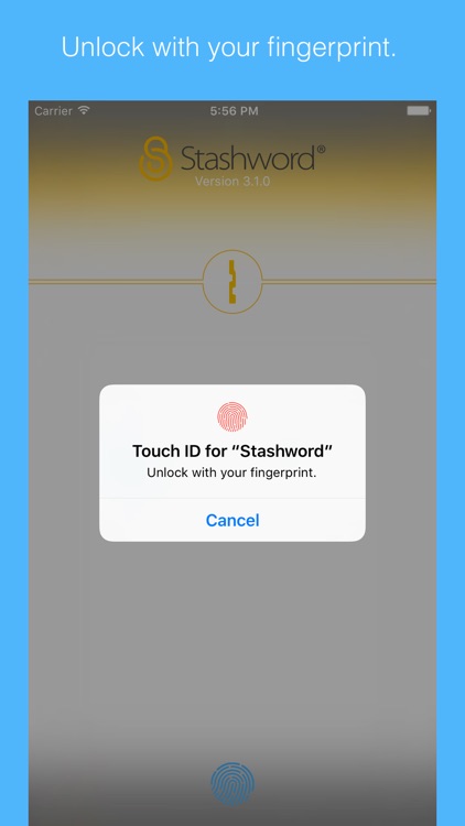 Stashword - Digital Vault