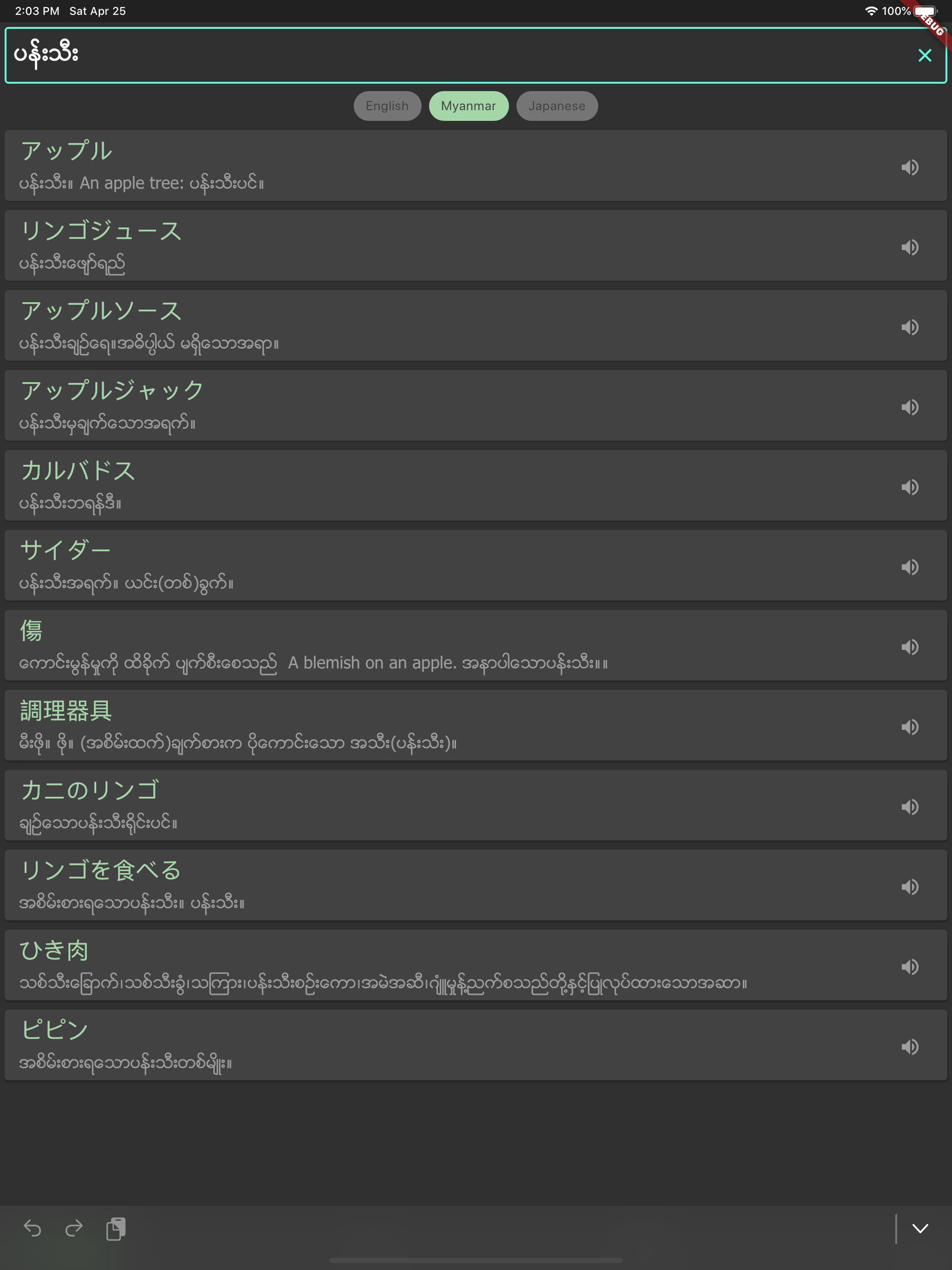 MM-JP Dictionary