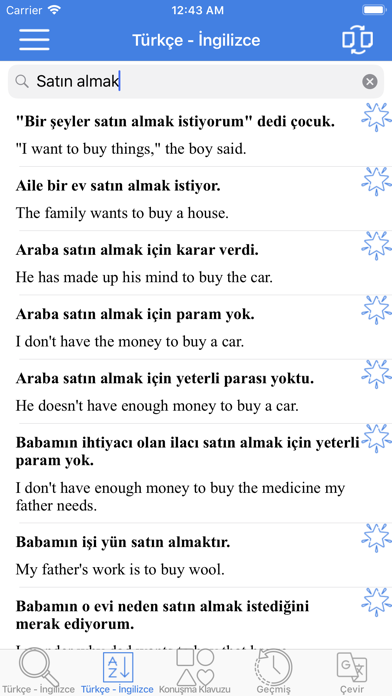 Turkish English Dictionary! Screenshot