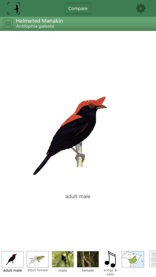 Birds of Brazil - 2.0.7 - (iOS)