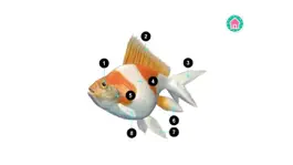 Game screenshot Picture Dictionary - Animals apk