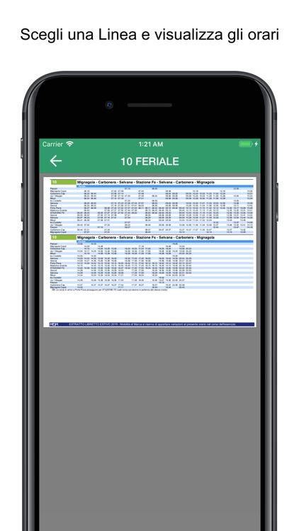 Treviso Bus Schedules