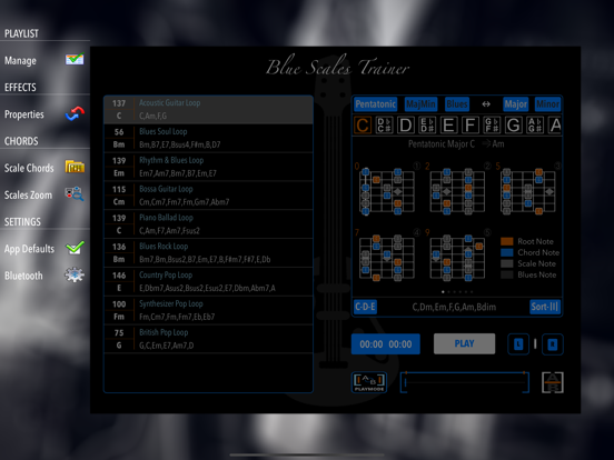 BlueScalesTrainer iPad screenshot 3 - Music app
