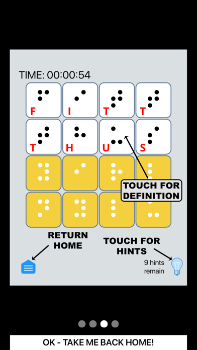 Braille WordWise Max screenshot 3