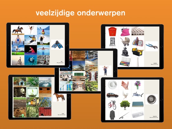 Lexico Vraagbegrip iPad app afbeelding 4