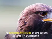 all birds ch - photo guide ipad images 2