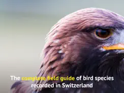 All birds CH - photo guide iPad image 2