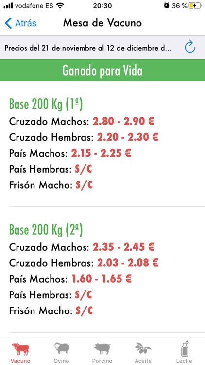 La Lonja de Los Pedroches screenshot-3