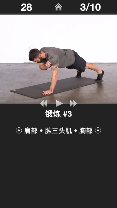每日手臂锻炼 - 运动健身程序