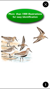 Birds of Europe Guide screenshot