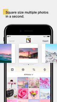 SquareDude - Square Fit Photo iphone bilder 1