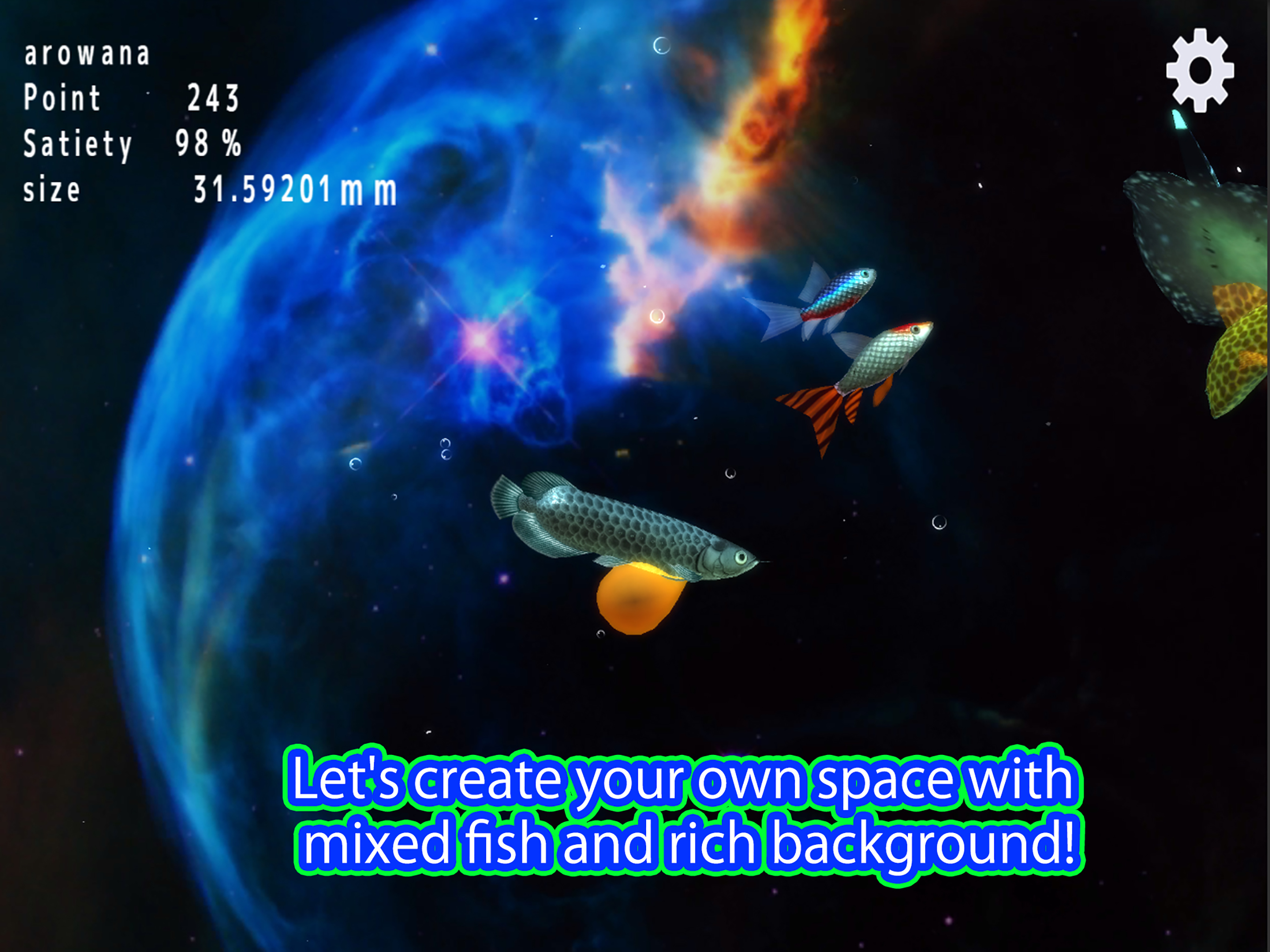 Arowana raising from fry