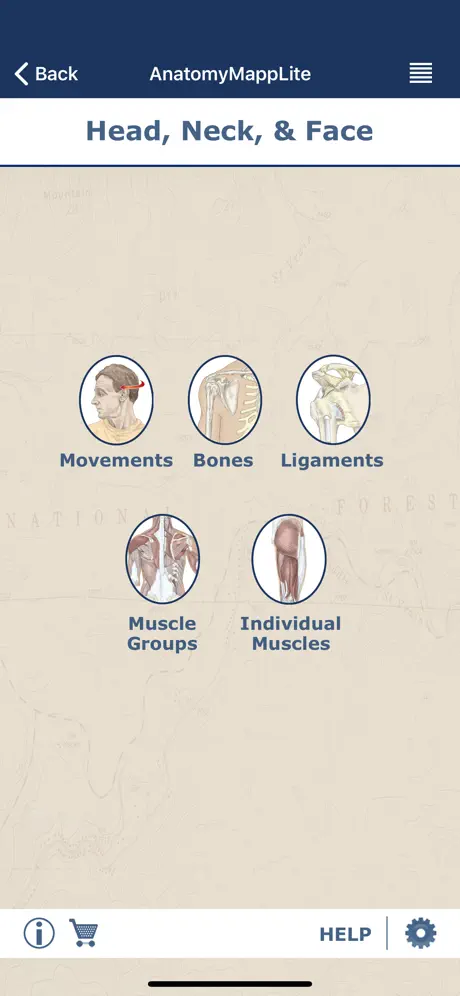 AnatomyMapp Lite