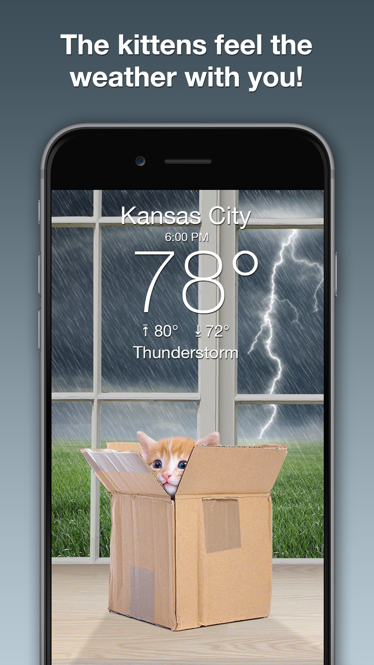 Weather Kitty: Weather + Radar screenshot 2