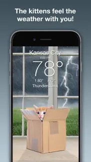 How to cancel & delete weather kitty: weather + radar 3