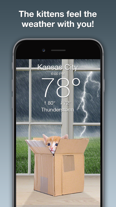 Screenshot #2 pour Weather Kitty: Weather + Radar