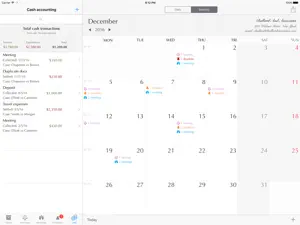 Lawyer's Planner screenshot 4