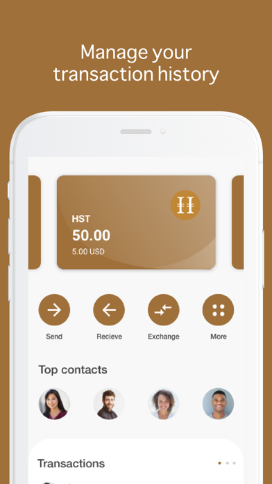 Screenshot #3 pour HSL Wallet