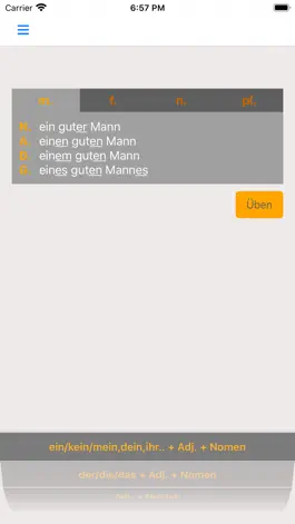 Game screenshot German Adjective Endings mod apk