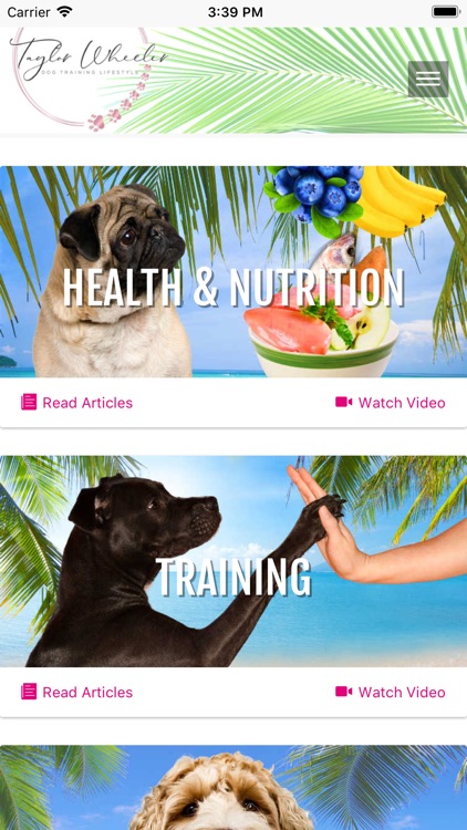 Dog Training Lifestyle