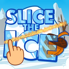 Activities of Slice the Ice - Physics Game