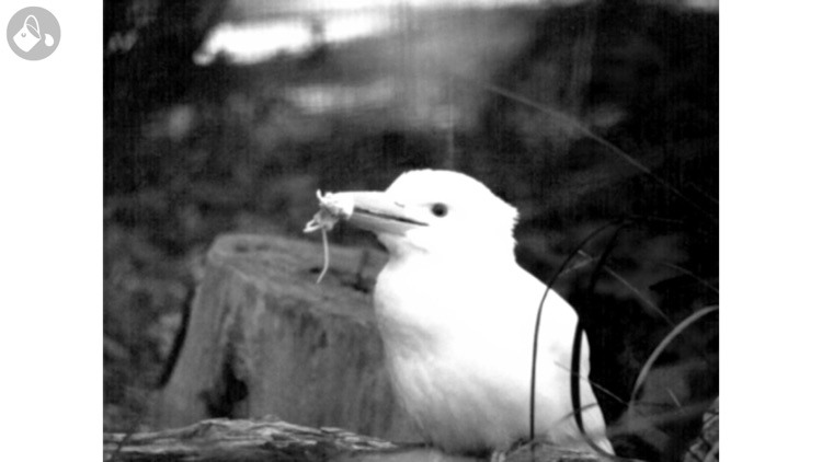 Wrak-ma Bowkan Naju-a screenshot-5