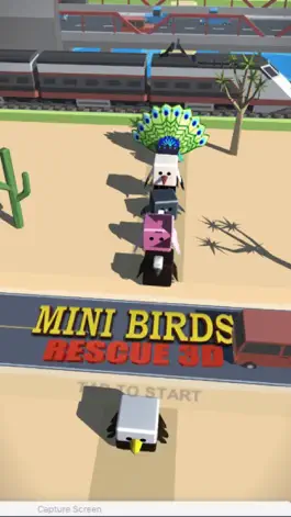 Game screenshot Mini Birds Rescue 3D mod apk