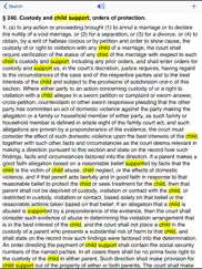 ny domestic relations law 2025 ipad images 3