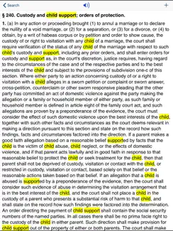 NY Domestic Relations Law 2026 iPad image 3