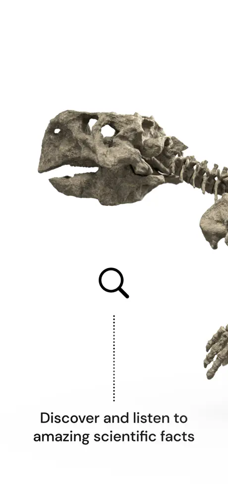 Famous Fossil