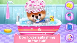 boo - world's cutest dog game iphone screenshot 4