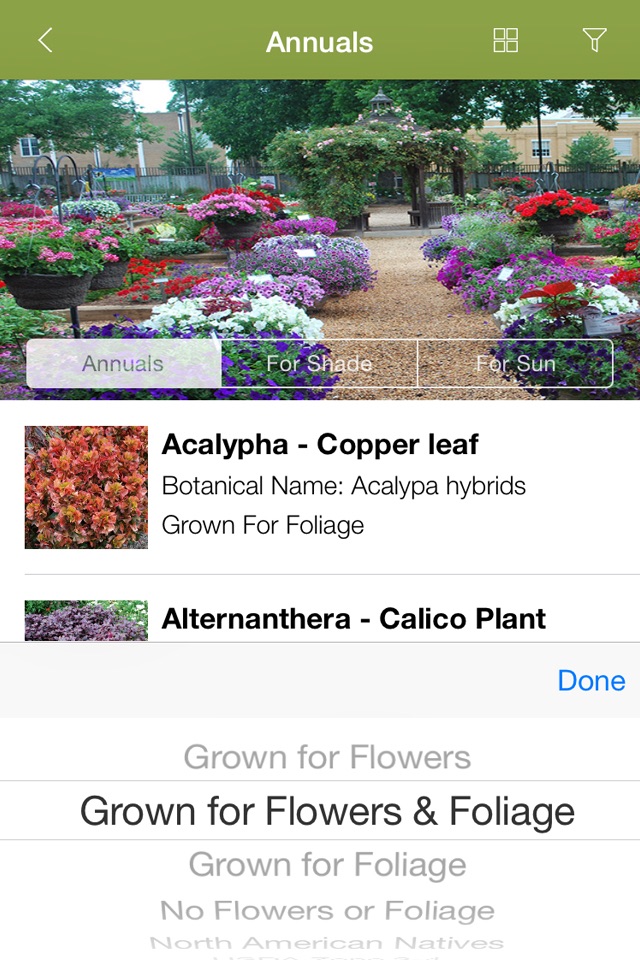 Armitage’s Great Garden Plants screenshot 2