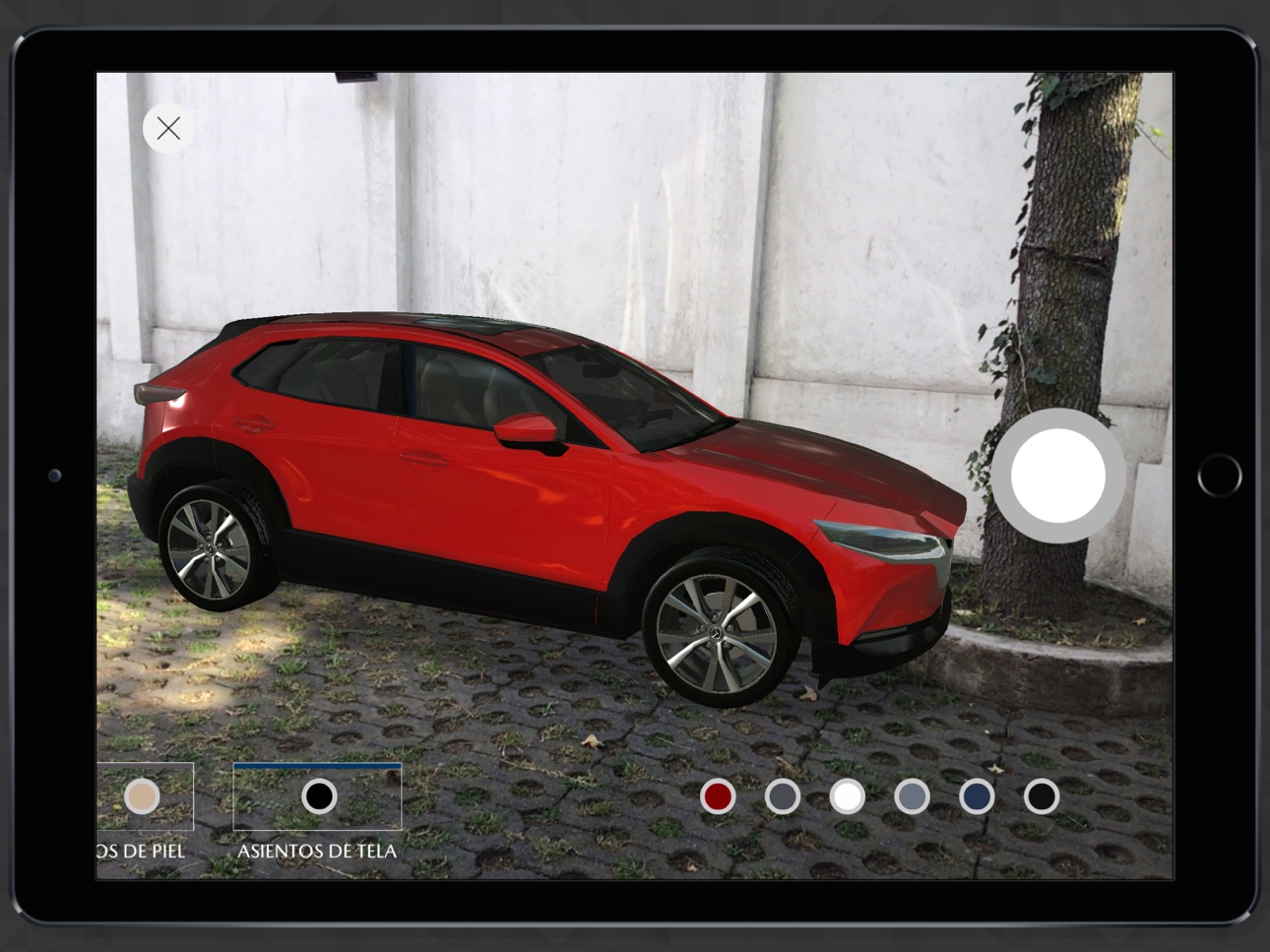 iPad screenshot