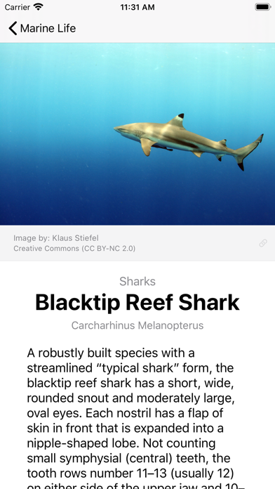 Guam Dive Guide Screenshot