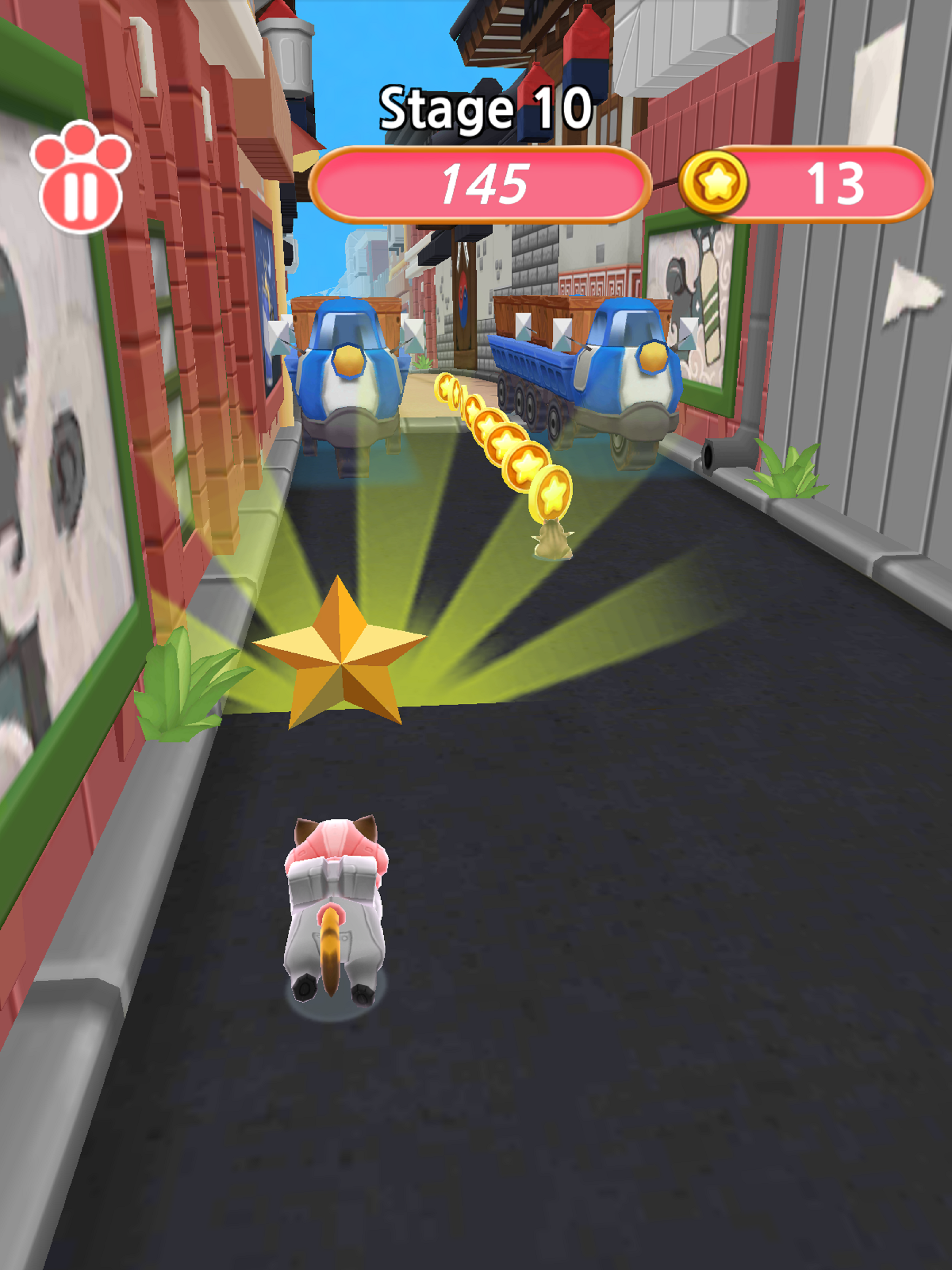 Cats Run