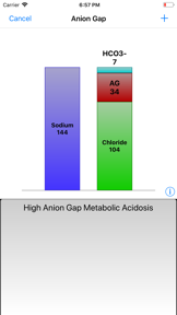 Graphical Arterial Blood Gas screenshot