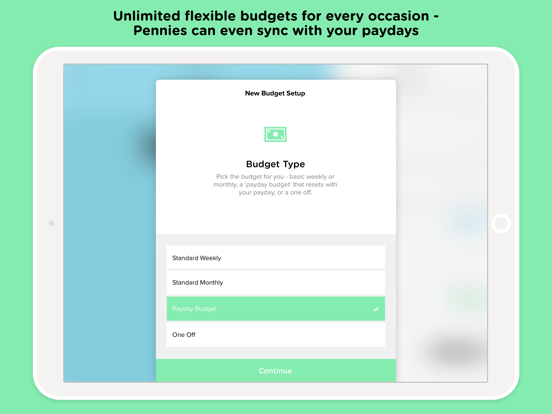 Pennies – Budget and Expenses iPad app afbeelding 4